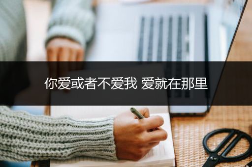你爱或者不爱我 爱就在那里